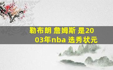 勒布朗 詹姆斯 是2003年nba 选秀状元